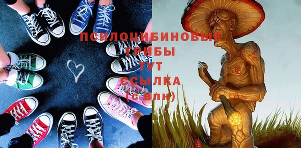 прущие грибы Вязники