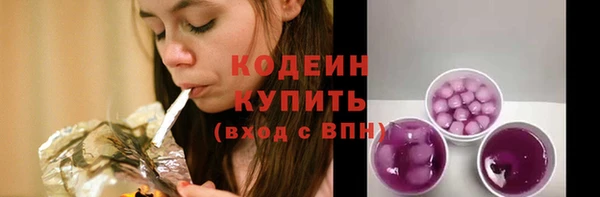 прущие грибы Вязники