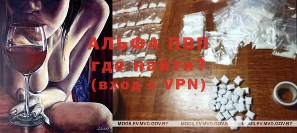 прущие грибы Вязники