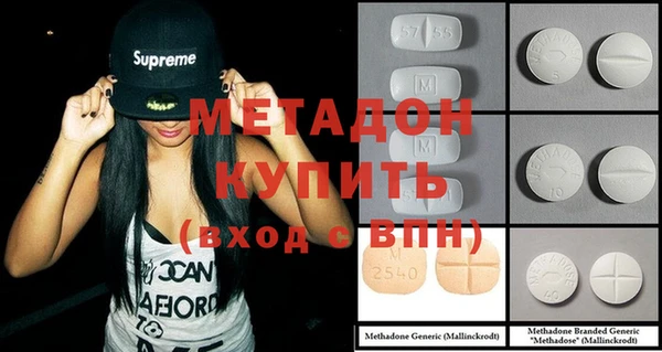 прущие грибы Вязники