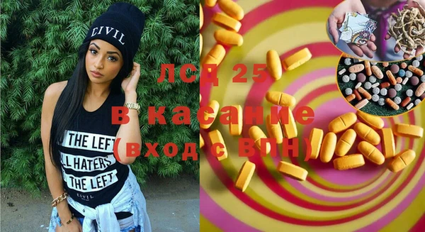 прущие грибы Вязники
