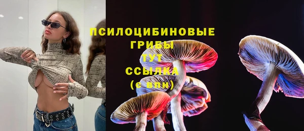 первитин Вяземский
