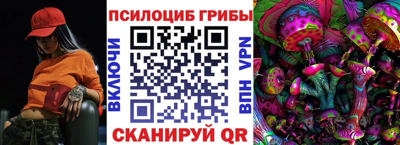 Галлюциногенные грибы Psilocybine cubensis  OMG ссылка  Нягань 